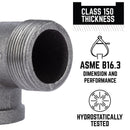 STZ Industries 1-1/4 in. MIP each X 1-1/4 in. D FIP Black Malleable Iron 90 Degree Street Elbow