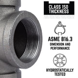 STZ Industries 2 in. FIP each X 2 in. D FIP Black Malleable Iron 45 Degree Elbow
