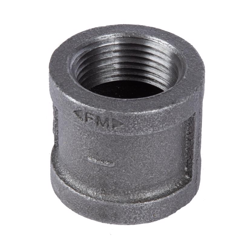 STZ Industries 1/8 in. FIP each X 1/8 in. D FIP Black Malleable Iron Coupling