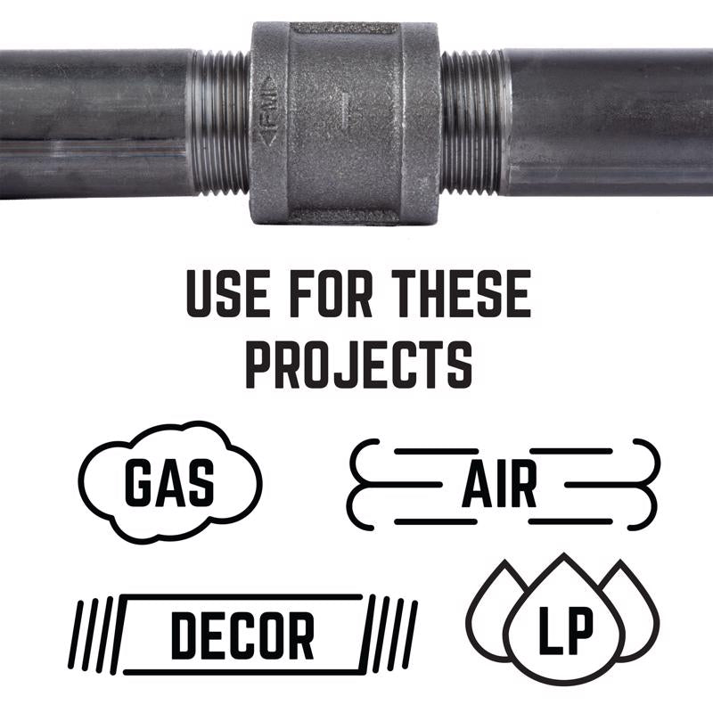 STZ Industries 1/8 in. FIP each X 1/8 in. D FIP Black Malleable Iron Coupling