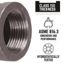 STZ Industries 3/8 in. FIP each X 3/8 in. D FIP Black Malleable Iron Coupling