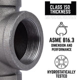 STZ Industries 2 in. FIP each X 2 in. D FIP Black Malleable Iron Union