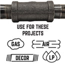 STZ Industries 2 in. MIP each X 3/4 in. D FIP Black Malleable Iron Hex Bushing