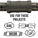 STZ Industries 2 in. MIP each X 1 in. D Black Malleable Iron Hex Bushing