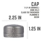 STZ Industries 1-1/4 in. FIP each Black Malleable Iron Cap