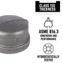 STZ Industries 1-1/4 in. FIP each Black Malleable Iron Cap