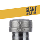 STZ Industries 1-1/2 in. FIP each Black Malleable Iron Cap