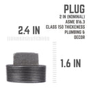 STZ Industries 2 in. MIP each Black Malleable Iron Plug