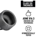 STZ Industries 1-1/4 in. MIP each Black Malleable Iron Plug