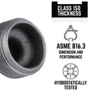 STZ Industries 1-1/2 in. MIP each Black Malleable Iron Plug