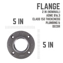 STZ Industries 2 in. FIP each Black Malleable Iron Floor Flange
