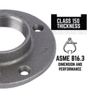 STZ Industries 2 in. FIP each Black Malleable Iron Floor Flange