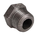 STZ Industries 1/2 in. MIP each X 1/8 in. D FIP Black Malleable Iron Hex Bushing