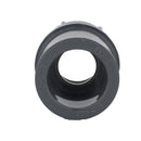 Charlotte Pipe Schedule 80 1/2 in. Slip X 1/2 in. D FPT PVC Adapter 1 pk