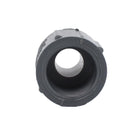 Charlotte Pipe 1/2 in. Slip X 1/2 in. D MPT PVC Adapter 1 pk