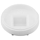 Charlotte Pipe Schedule 40 6 in. MPT PVC Clean-Out Plug 1 pk