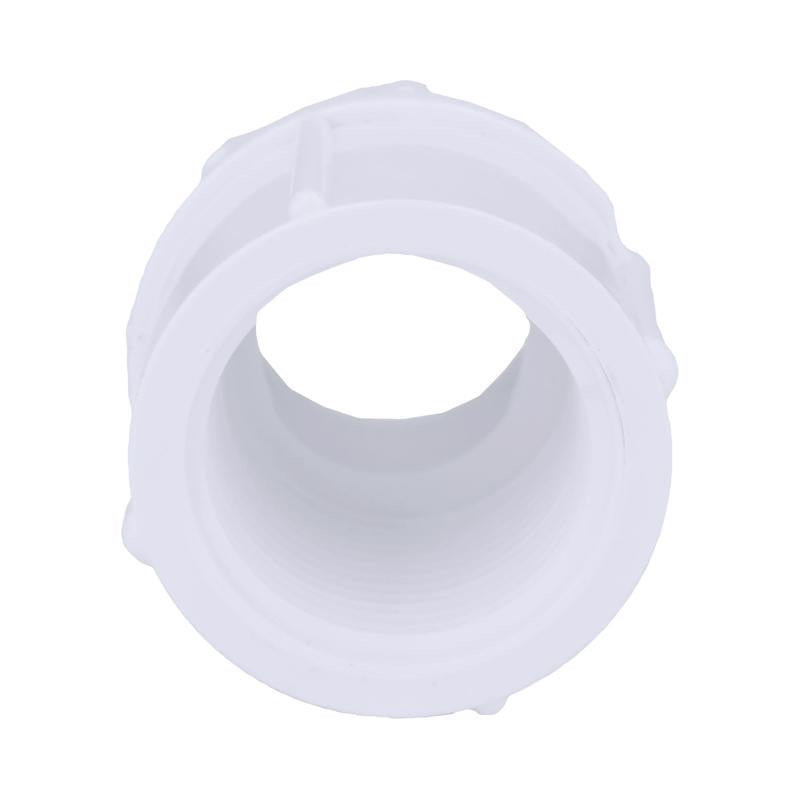 Charlotte Pipe Schedule 40 1/2 in. Socket X 3/4 in. D FPT PVC Pipe Adapter 1 pk