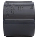 Charlotte Pipe Schedule 80 1 in. FPT X 1 in. D FPT PVC Coupling 1 pk