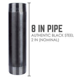 STZ Industries 2 in. MIP each X 2 in. D MIP Black Steel 8 in. L Nipple