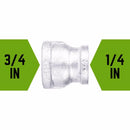 STZ Industries 3/4 in. FIP each X 1/4 in. D FIP Galvanized Malleable Iron Reducing Coupling