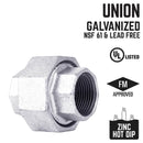 STZ Industries 1/8 in. FIP each X 1/8 in. D FIP Galvanized Malleable Iron Union