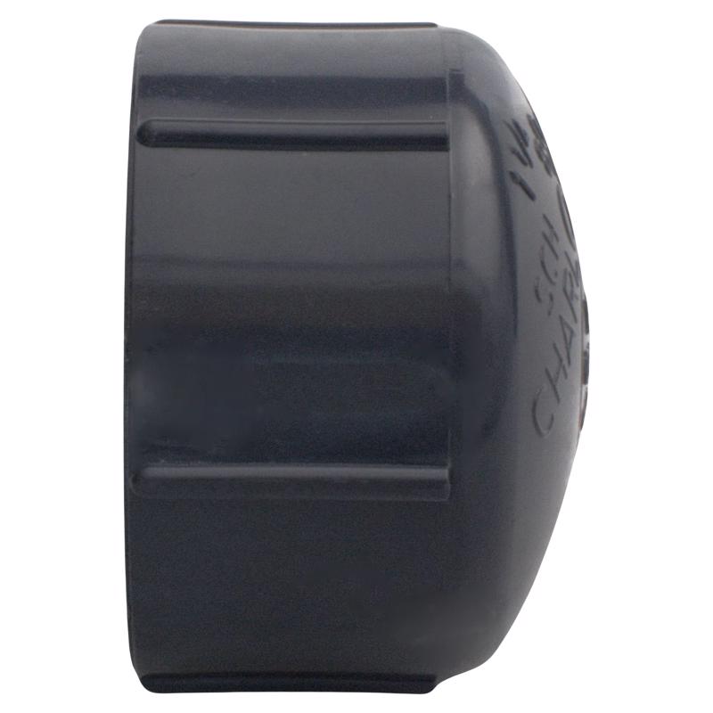 Charlotte Pipe Schedule 80 3/4 in. MPT X 3/4 in. D FPT PVC Threaded Cap 1 pk