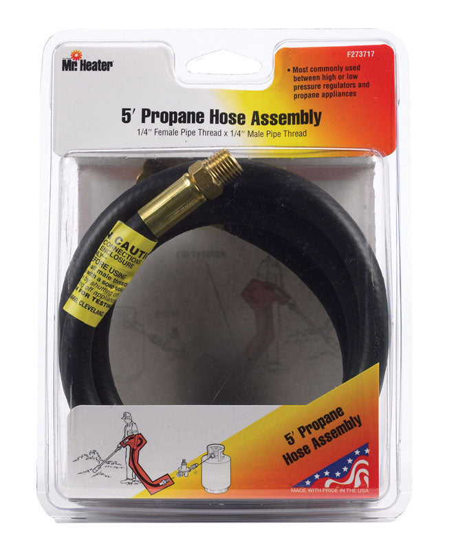 HOSE 5' 1/4"FPTX1/4"MPT