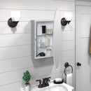 Zenna Home 31 in. H X 21 in. W X 4 in. D Oval Medicine Cabinet/Mirror
