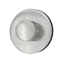 Danco 2 in. Brushed Nickel Brass Lift Plug and Drain