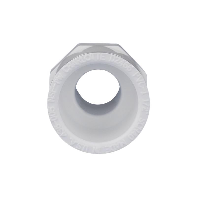 Charlotte Pipe Schedule 40 1/2 in. Slip X 1/2 in. D MPT PVC Pipe Adapter 1 pk