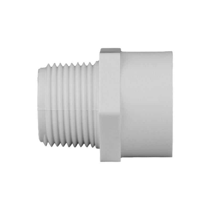 Charlotte Pipe Schedule 40 3/4 in. Slip X 3/4 in. D MPT PVC Pipe Adapter 1 pk
