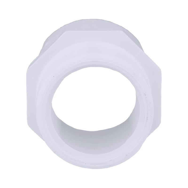 Charlotte Pipe Schedule 40 1-1/4 in. Slip X 1-1/4 in. D MPT PVC Pipe Adapter 1 pk