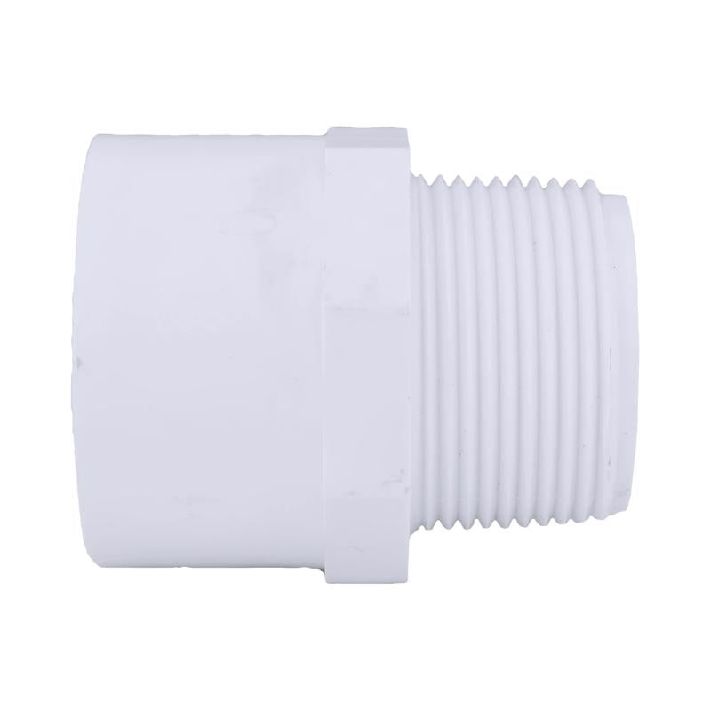 Charlotte Pipe Schedule 40 1-1/4 in. Slip X 1-1/4 in. D MPT PVC Pipe Adapter 1 pk