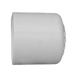 Charlotte Pipe Schedule 40 1 in. Slip PVC Cap 1 pk