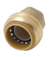 SHARKBITE CAP 1" LF