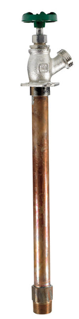 WALL HYDRNT MALE 3/4X10"