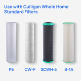 Culligan Whole House Filter System For Culligan