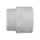 Charlotte Pipe Schedule 40 1 in. Slip X 1 in. D MPT PVC Pipe Adapter 10 pk