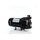 Wayne 1/2 HP 900 gph Cast Iron Convertible Jet Well Pump