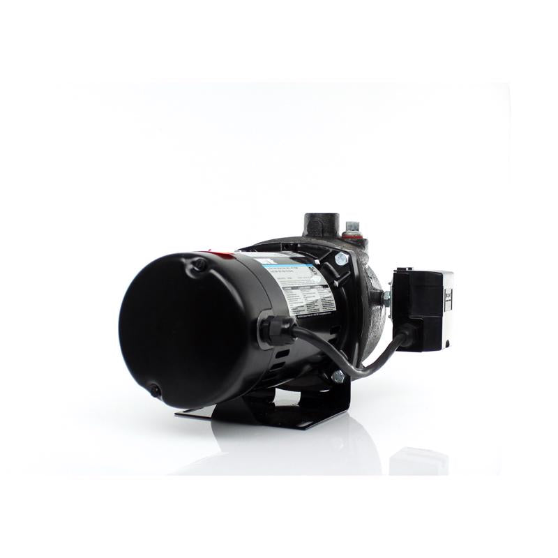 Wayne 1/2 HP 900 gph Cast Iron Convertible Jet Well Pump