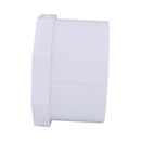 Charlotte Pipe Schedule 40 2 in. Spigot X 2 in. D Slip PVC Plug 1 pk