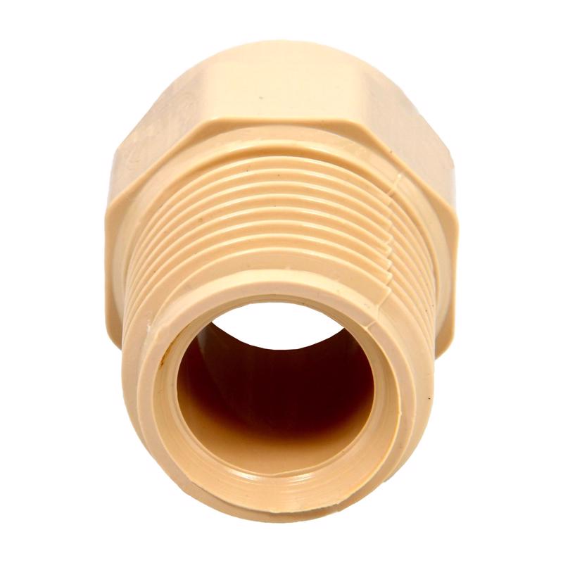 Charlotte Pipe FlowGuard 1/2 in. MPT X 1/2 in. D Slip CPVC Male Adapter 10 pk