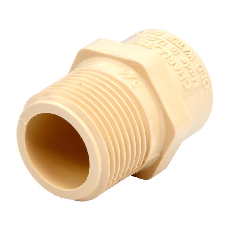 ADAPTR CPVC 3/4"ML 10PK