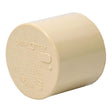 CAP CPVC 3/4" 10PK