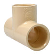 TEE CPVC 3/4" 10PK