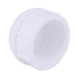 CAP PVC SCH40 3/4" FPT