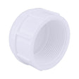 CAP PVC SCH40 1"FPT
