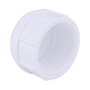 CAP PVC SCH40 1"FPT