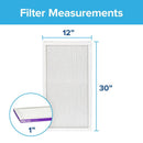 Filtrete 12 in. W X 30 in. H X 1 in. D 12 MERV Pleated Air Filter 1 pk