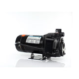 Wayne 3/4 HP 7.7 gph Cast Iron Convertible Jet Well Pump